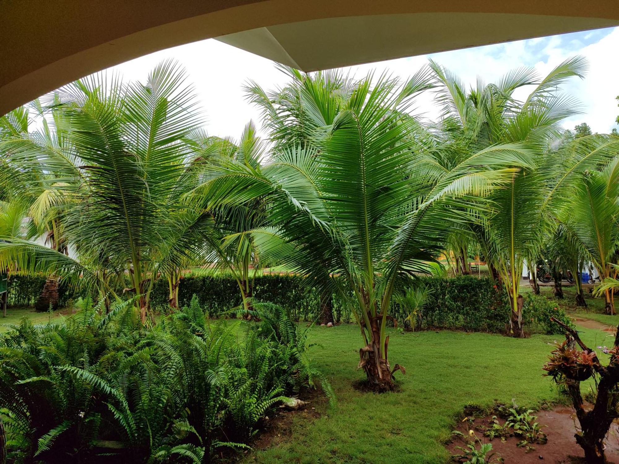 E&N Paradise Island Resort Đảo Đảo Siquijor Ngoại thất bức ảnh