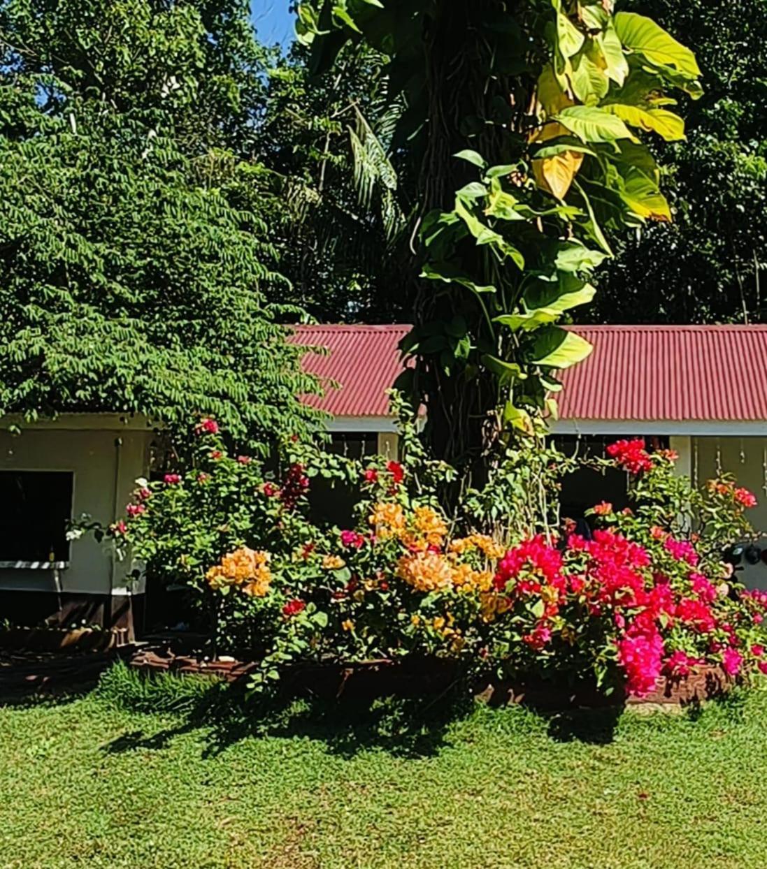 E&N Paradise Island Resort Đảo Đảo Siquijor Ngoại thất bức ảnh